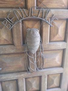 Chambre dhôte "Avignon"