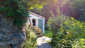 Maisons de vacances Beautiful studio surrounded by nature : photos des chambres