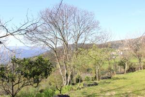 Ponte de Lima- Turismo rural - Aldeias de Portugal