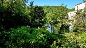 Maisons de vacances Beautiful studio surrounded by nature : photos des chambres