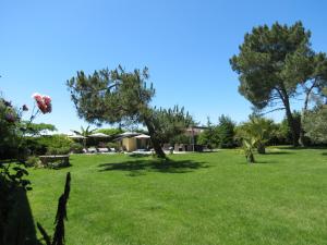 Maisons de vacances Les Hortensias : photos des chambres