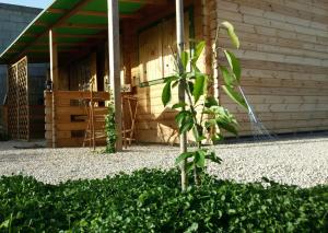 B&b Ventuno Barumini img11