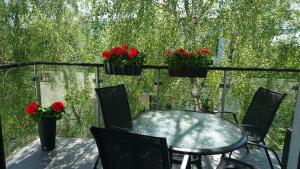 KM Apartament Polanki