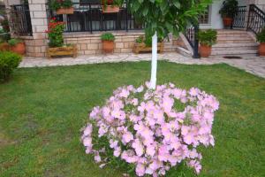 Simos Apartments Olympos Greece