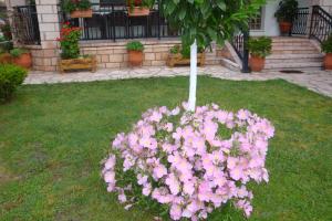 Simos Apartments Pieria Greece