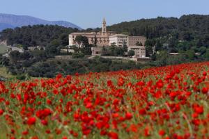 Monestir de Les Avellanes