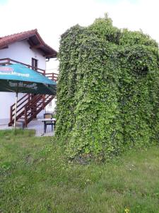 Penzion a restaurace U Strnada