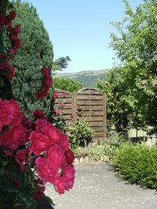 Maisons de vacances Chez Leontine : photos des chambres