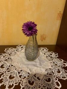 mPark Noclegi Śląsk Mysłowice