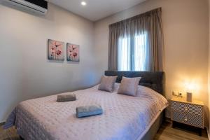 Big Blue suites 2