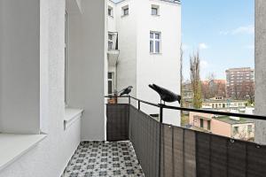 BLUE MANDARIN Premium II