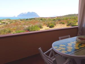 Apartment with one bedroom in Olbia with wonderful sea view and enclosed garden 300 m from the beach