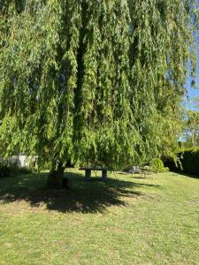 B&B / Chambres d'hotes Cocon en lisiere de foret : photos des chambres