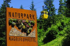 Alpin & Wellness Resort Hotel Ludwig Royal