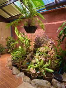 OASIS by Four Twenty