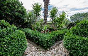 Apartments Anica Kampor