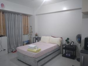 One Palm Tree Villas-Terminal 3 Pasay Manila