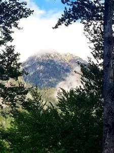 Cabana Bellavista Bușteni - 布什泰尼