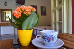 Camelia Studios Lefkada Greece