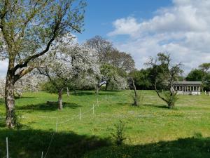 Gutshaus Thorstorf FeWo Travemünde