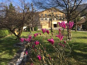 Hotels Le Castel Fleuri : photos des chambres