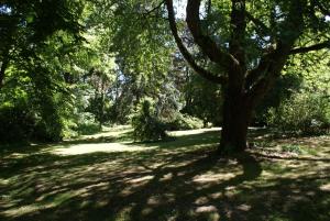 La Demeure de l'Isle photo 6