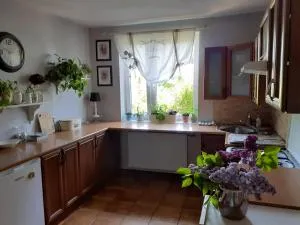 dom w Junoszynie - Junkertroyl