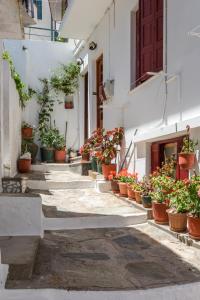 Cath's Guesthouse Skopelos Greece