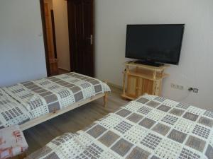 Magnificent apartment in the mountains