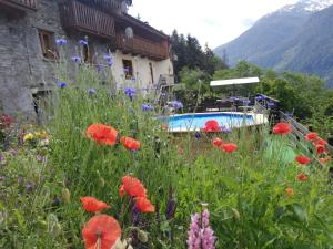 Appartements Les Balcons du Molliebon : photos des chambres