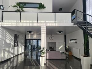 Olivujoj Villajoj - Deluxe Villa with Detached Pool House