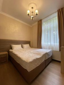 Deluxe Double Room with Shower room in Coffee Room