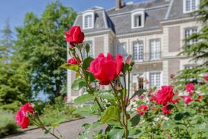 Maisons d'hotes Chateau d'Avesnes - Le Castelet : photos des chambres