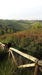 Locanda San Francesco