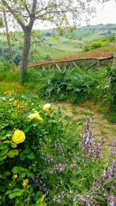 Locanda San Francesco