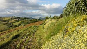Locanda San Francesco