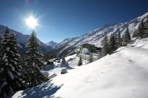 Hotel Silbertal - Almhütten