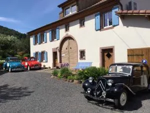 Bluets et Brimbelles - 科尔鲁瓦拉罗克