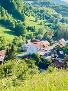 Pensiune Muntii Aninei