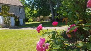 B&B / Chambres d'hotes Maison de charme en foret de Fontainebleau : photos des chambres