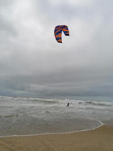 Campings Mobilhome Cote Landaise Les Dunes de Contis : photos des chambres