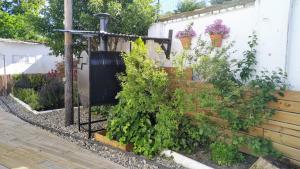 La casa azul,una casa en la ciudad.