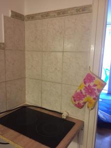 Lellei vízparti apartman homokos strandnál