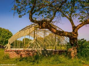 Chateau de Saint-Germain photo 15