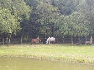 les portes des Froises