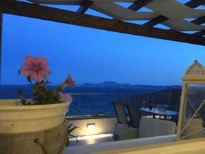 Vladimiros Apartments Corfu Greece