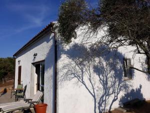 Alloggio Vacanze Palau Mauro