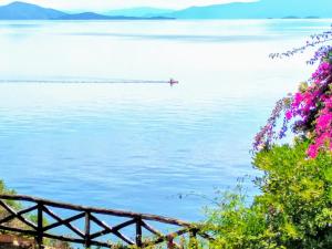 Pelion-Seaside Luxury House with parking Pelion Greece