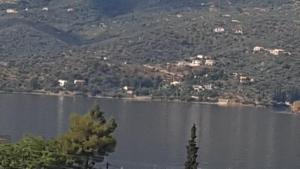 Villa Dolphins Poros-Island Greece