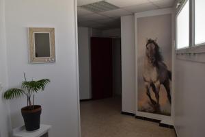 Hotels Hotel Camille : photos des chambres